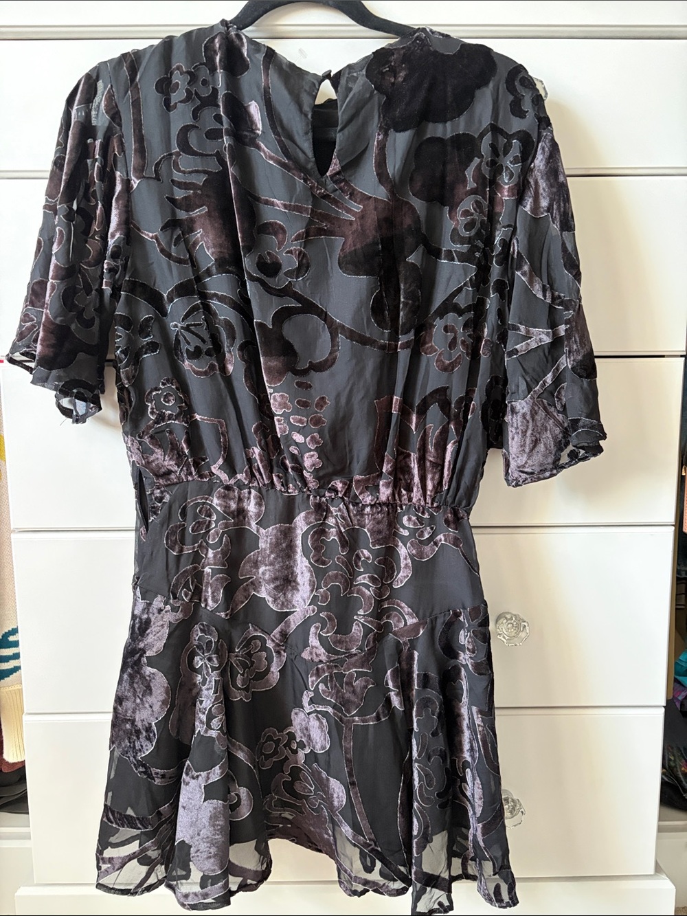 Manuka Burnout Velvet Mini Dress - Picture 5 of 5